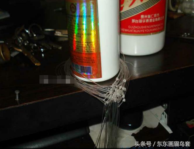 东东画眉鸟套之各种好看实用的绳套你了解吗？