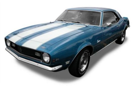 大黄蜂科迈罗发展史,大黄蜂科迈罗通过性