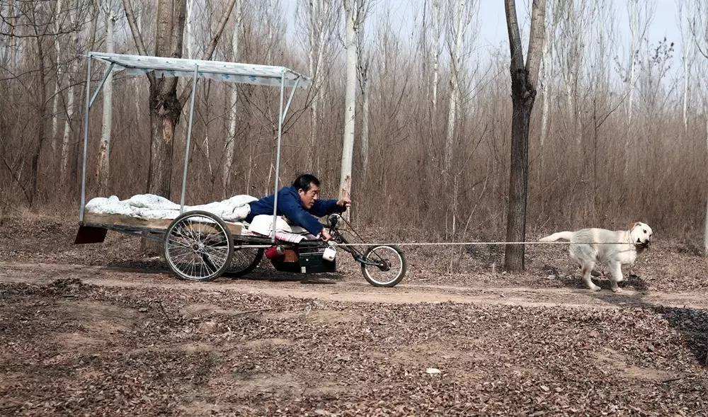 忠爱无言终其一生,忠爱无言相濡以沫