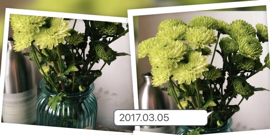 钱是最可靠的东西可以带来安全感,最有安全感的东西就是钱