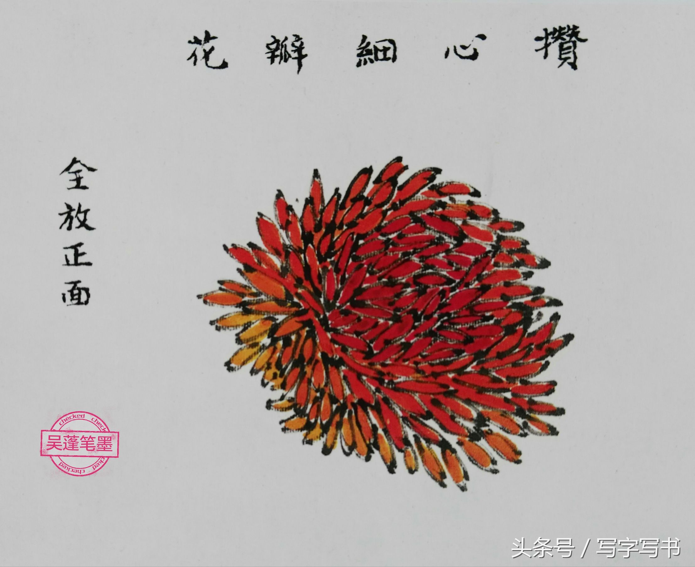 工笔画梅兰竹菊画法大全第一部分,墨牡丹花画法技巧