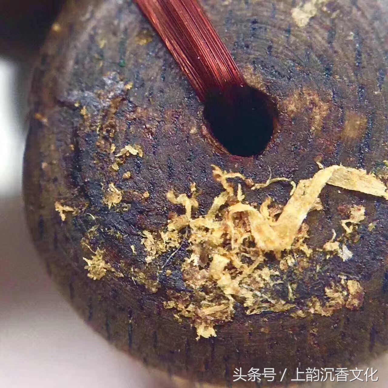 越南芽庄沉香的香型,沉香香型与产地对照表