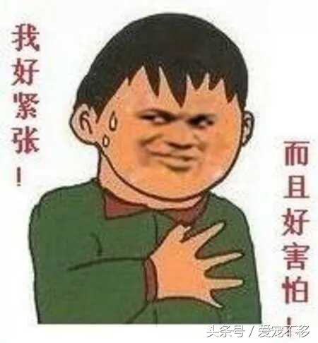 可爱萌哒哒的小仓鼠,萌哒哒的可爱的小仓鼠