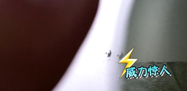 灏忓鐜╃殑鏈ㄨ川寮撳缉鏈夊鍗遍櫓,灏忓鐜╃殑寮撳缉鏈夊鍗遍櫓