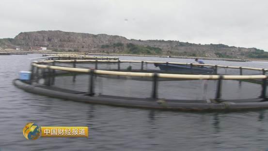 十亩水库养鱼一年收益,一亩鱼塘养鱼的收益