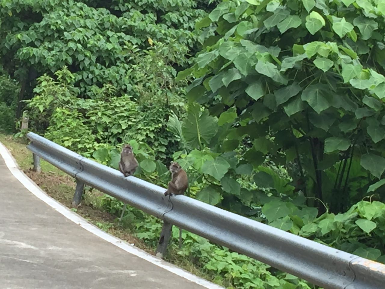 自助泰国游（2016闺蜜行自拍婚纱）泰王国（Thailandราชอาณาจักรไทย）