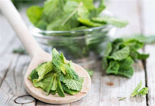 薄荷叶对蚊子有好处吗,干薄荷叶可以驱蚊虫吗