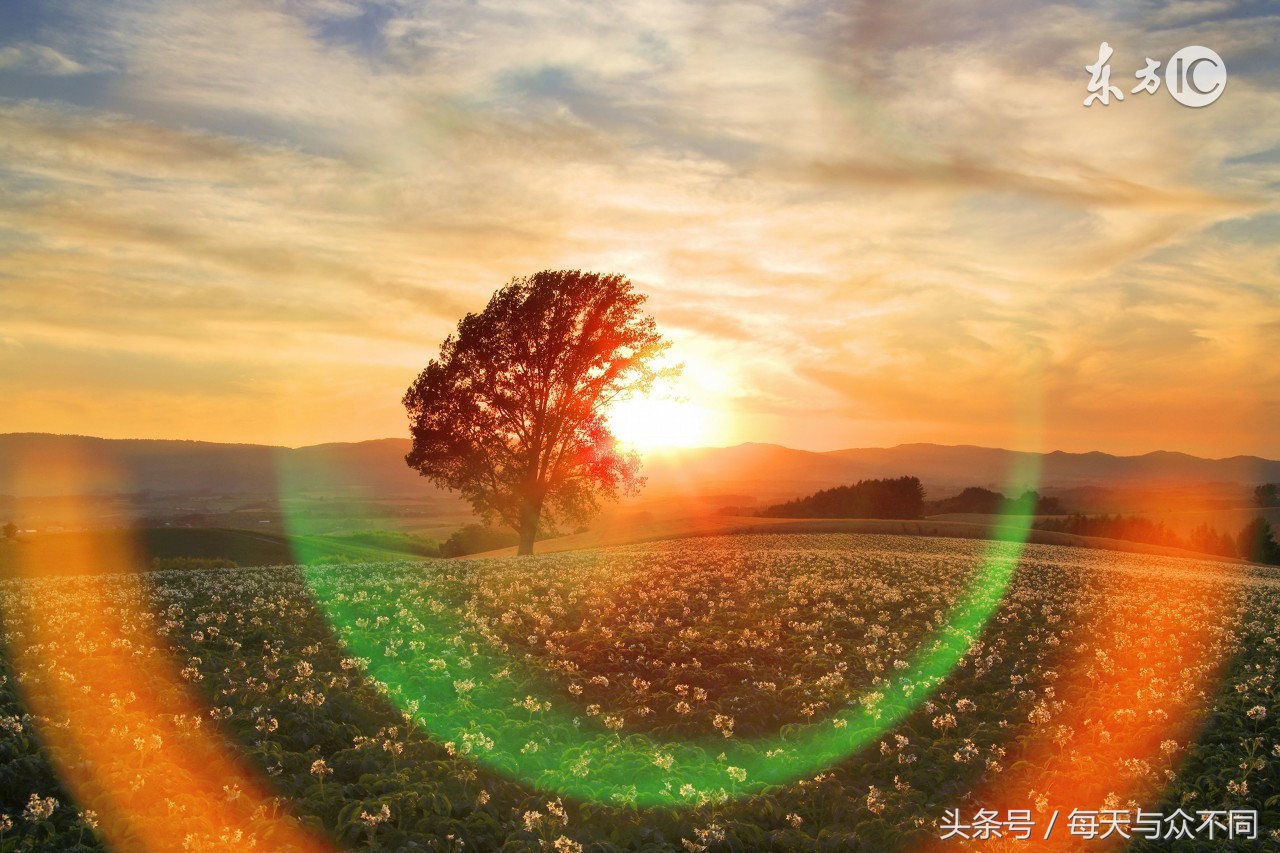 ps怎么用圆角矩形工具抠图,ps魔棒工具怎么用来抠图啊