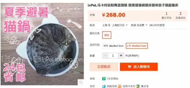 铝盆和鸡窝卖断货了，看猫咪用品创业商机