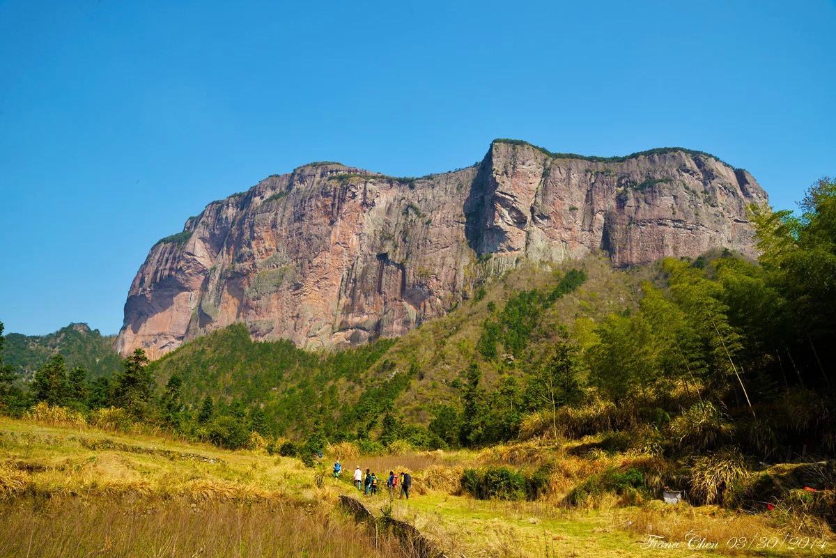 不花钱建养蜂场的方法,养蜂创业项目简介及前景分析