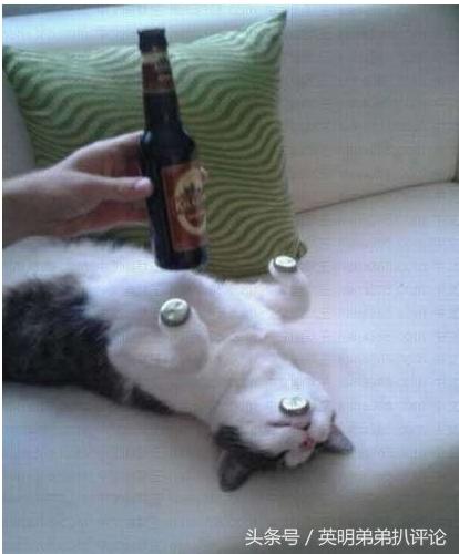 每次和老婆吵架，我都会到厨房把各种罐罐盖都拧死，等到冷战的时候，老婆总是先和我说话没办法有劲就是任性