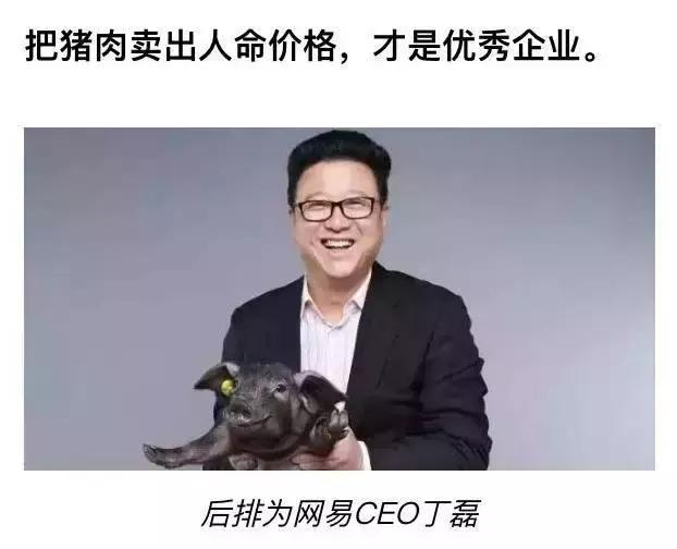 网易老板丁磊养猪场的样子,丁磊的猪场多大