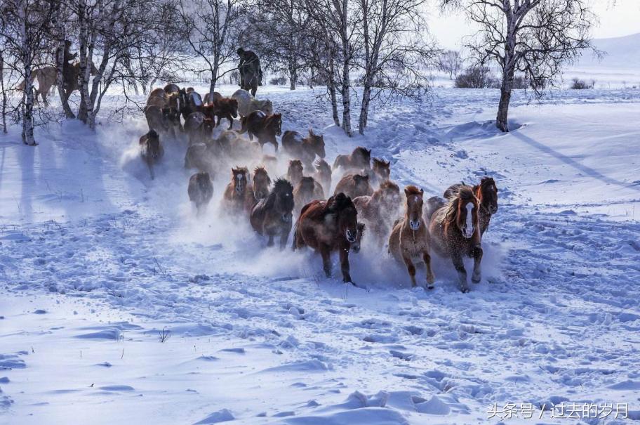 我国不同省份的车牌号,车牌号省份字母简称