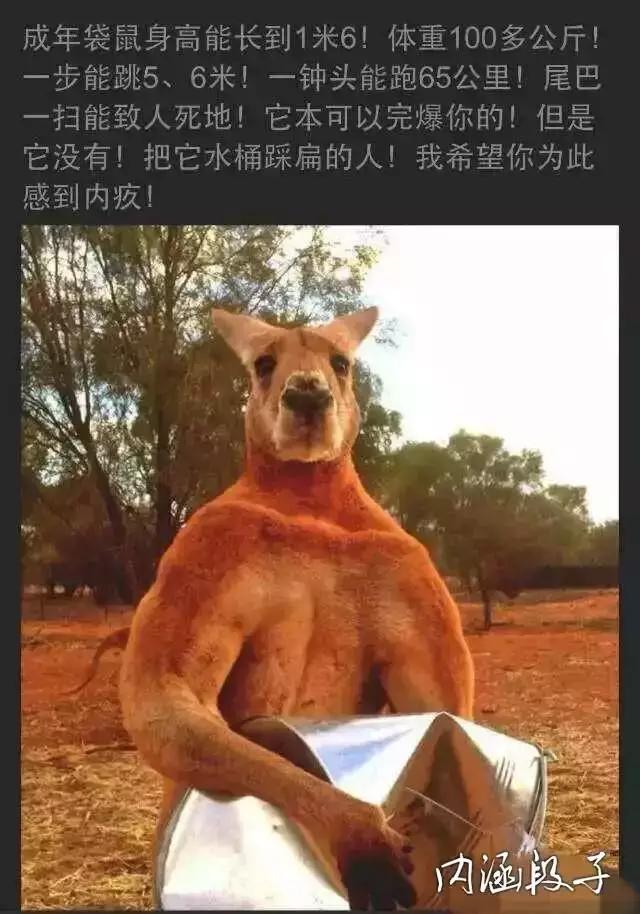 特别搞笑的笑话还有视频,搞笑笑话笑得肚子疼三岁孩子