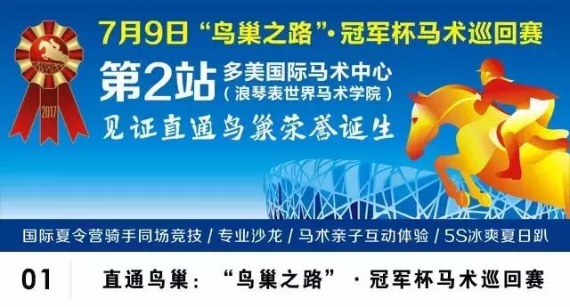 2019骞村唴钂欏彜閫熷害璧涢┈,鍐呰挋璧涢┈椹笟