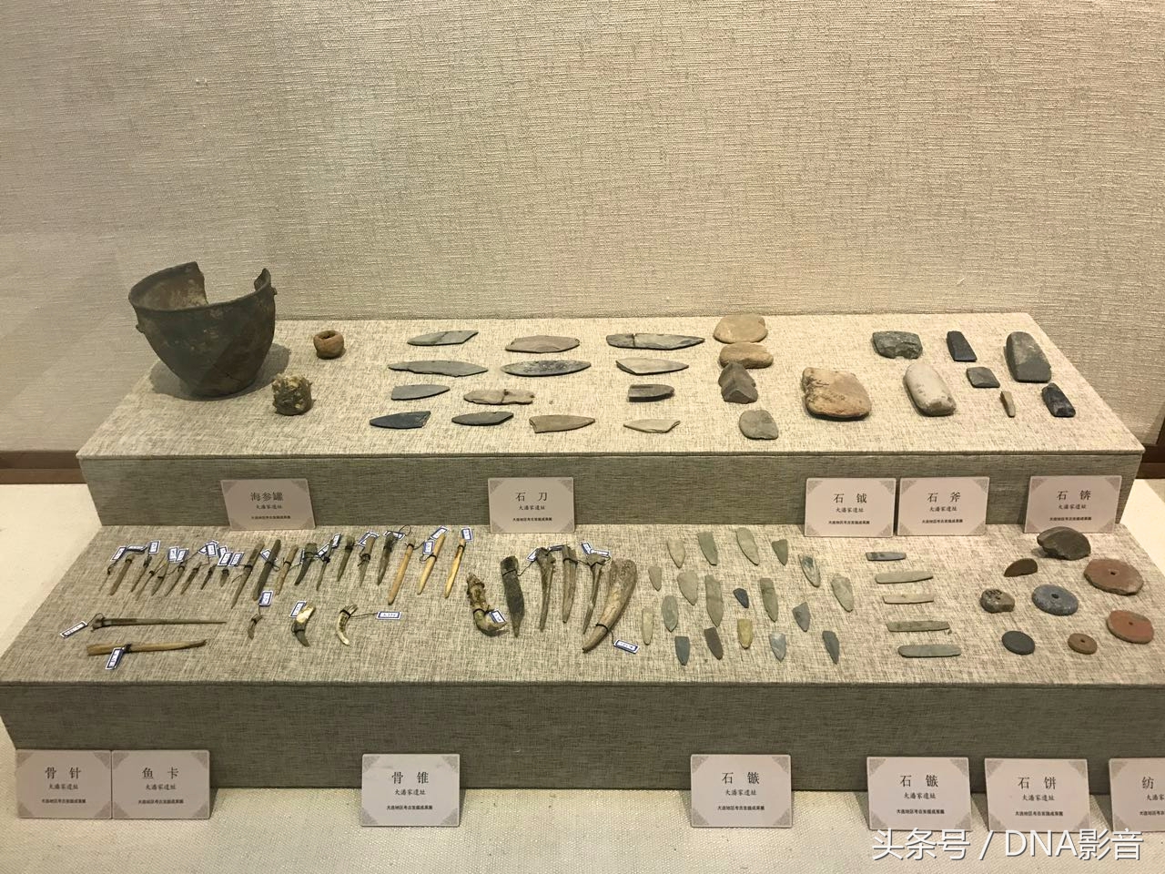 马王堆汉墓大连博物馆,大连汉代墓博物馆开放时间