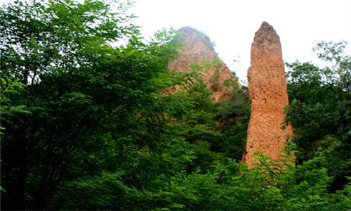 陕西苹果世界第一,陕西省苹果最多的是哪个县