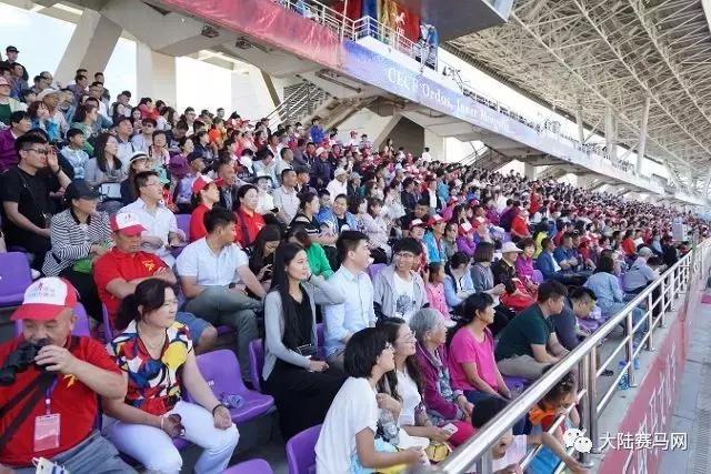 2019骞村唴钂欏彜閫熷害璧涢┈,鍐呰挋璧涢┈椹笟