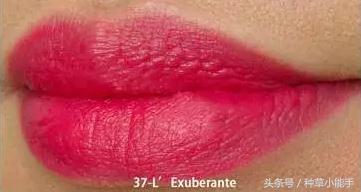 黄黑皮显白口红博主推荐,黑皮显白口红推荐大牌不掉色