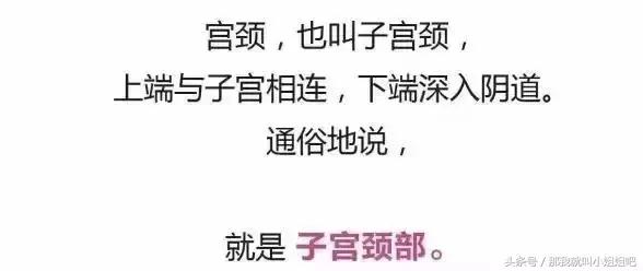 死亡女杀手,女杀手死亡动漫