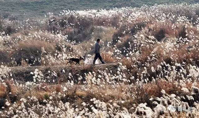 这样的婚纱照拍摄景点你中意吗,婚纱照拍摄圣地推荐
