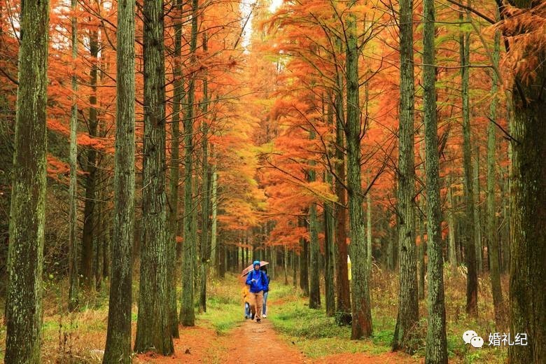 这样的婚纱照拍摄景点你中意吗,婚纱照拍摄圣地推荐