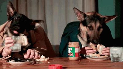 人模狗样和狗模人样的区别,人模人样和人模狗样有区别吗