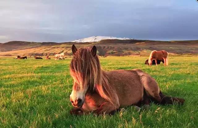 出门旅游如何看日出日落,一个人去看日落是怎样的体验