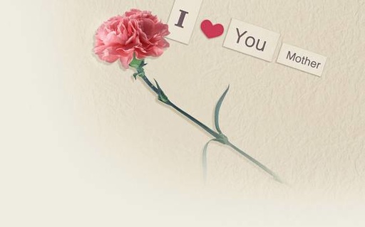 母亲节妈妈嘴里说着不喜欢花,母亲节妈妈不喜欢花吗