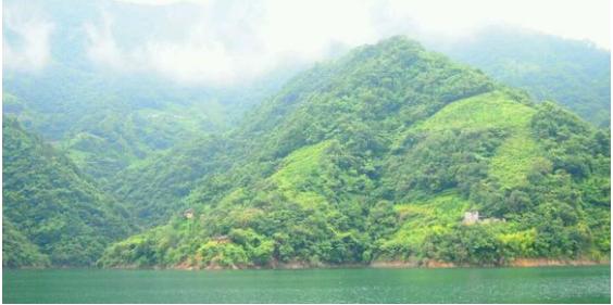 中华草龟与台湾草龟,中华草龟跟草龟有什么区别图