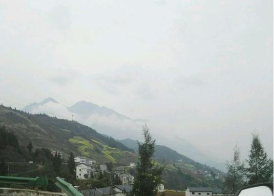 中华草龟与台湾草龟,中华草龟跟草龟有什么区别图