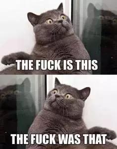 steam拳皇14买什么版本,拳皇14在steam叫什么