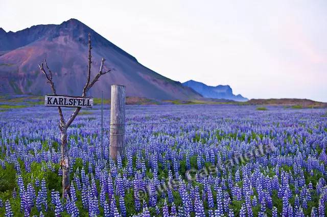 出门旅游如何看日出日落,一个人去看日落是怎样的体验