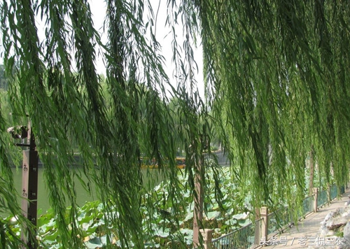 农村最辟邪的物件,民间辟邪的圣物