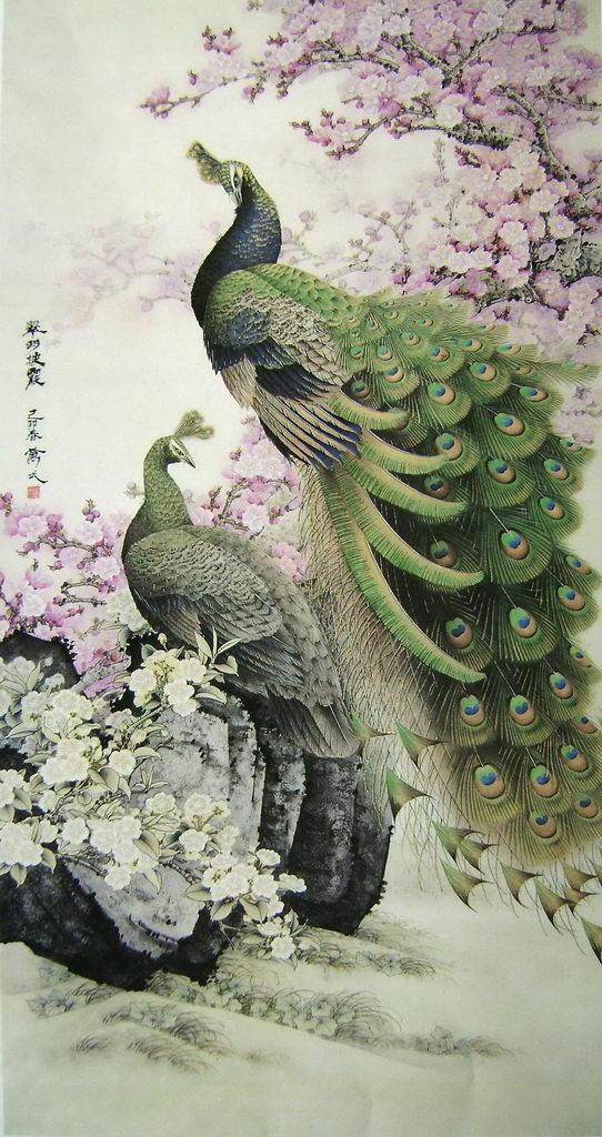 孔雀开屏的图片国画孔雀的画法,国画孔雀的画法图片
