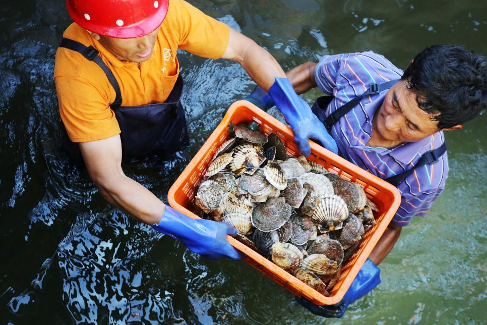食鲜记美食,食鲜记合集