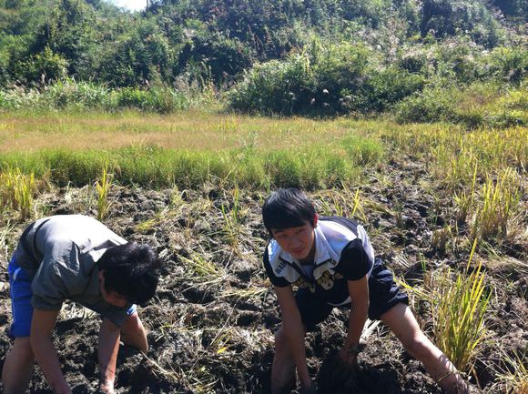 臭泥巴里面的鱼,臭泥沟里有黄鳝