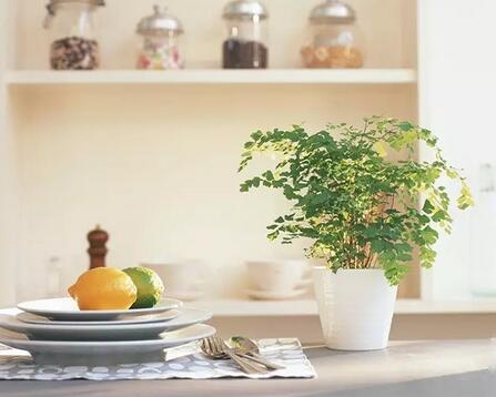 新风系统适合的6类家庭中有你吗？