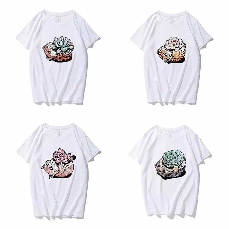 怎么加入猫盟,猫盟百科全书