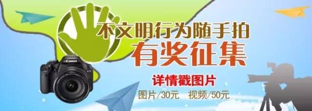 diorguccilv哪个更大牌,lvdiorguccichanel哪个好