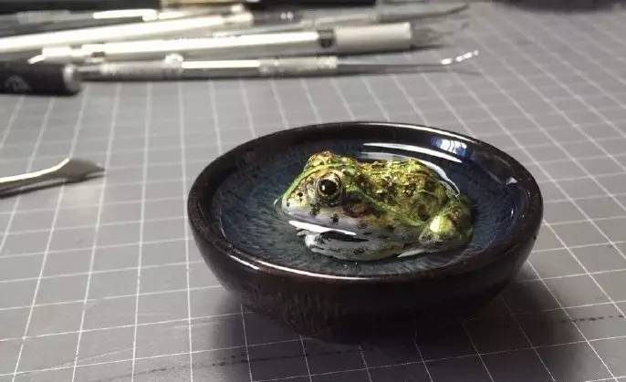 怎么加入猫盟,猫盟百科全书