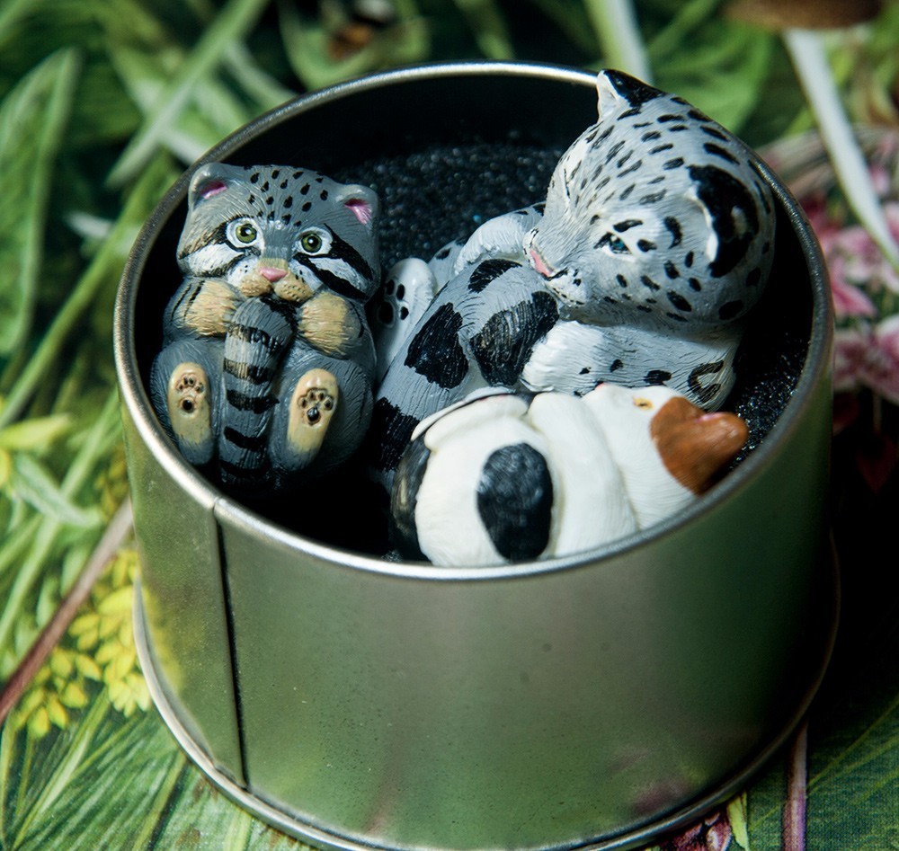 怎么加入猫盟,猫盟百科全书