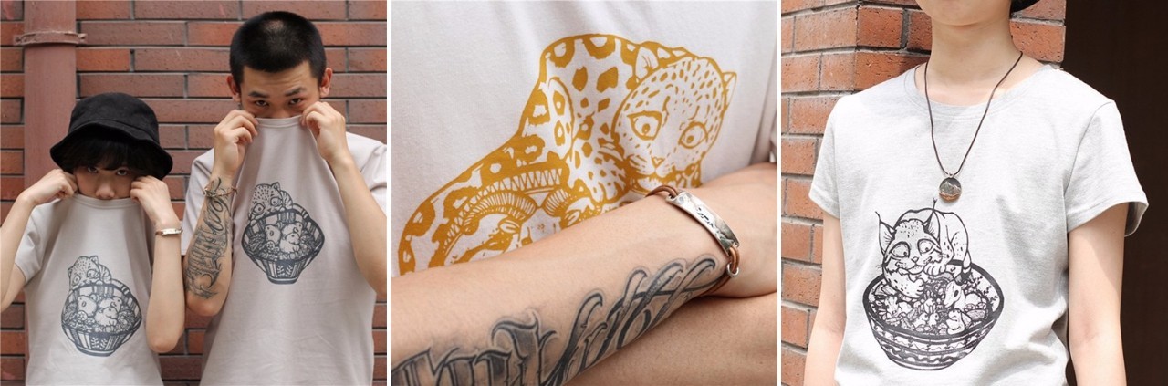 怎么加入猫盟,猫盟百科全书