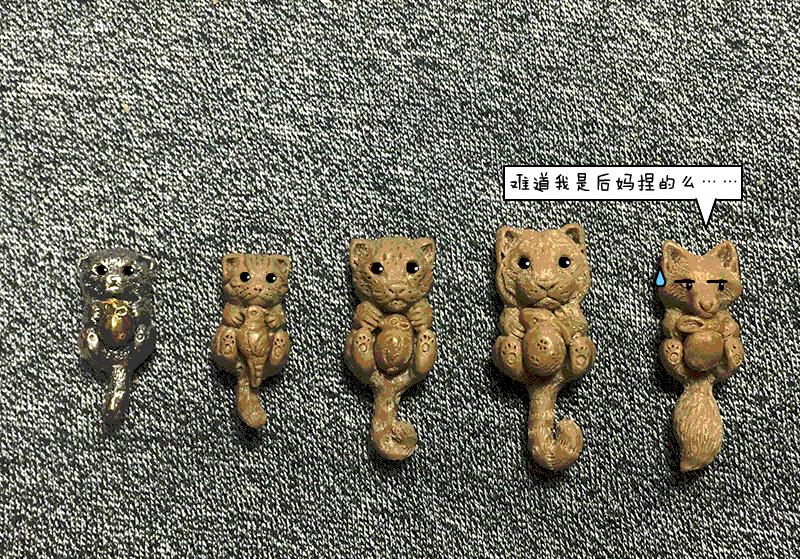 怎么加入猫盟,猫盟百科全书