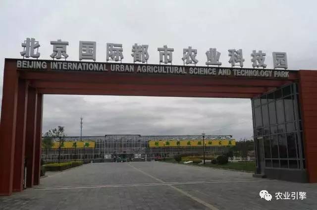 浜笢鐢熼矞鏃犲湡鏍藉煿,鏃犲湡鏍藉煿钄彍浜笢鐢熼矞