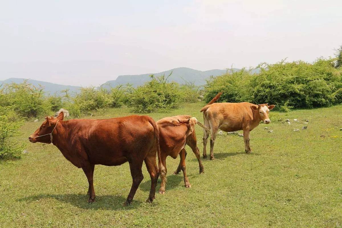 点燃今年夏天的第一把火！一大波超劲爆的美食优惠正在赶来！