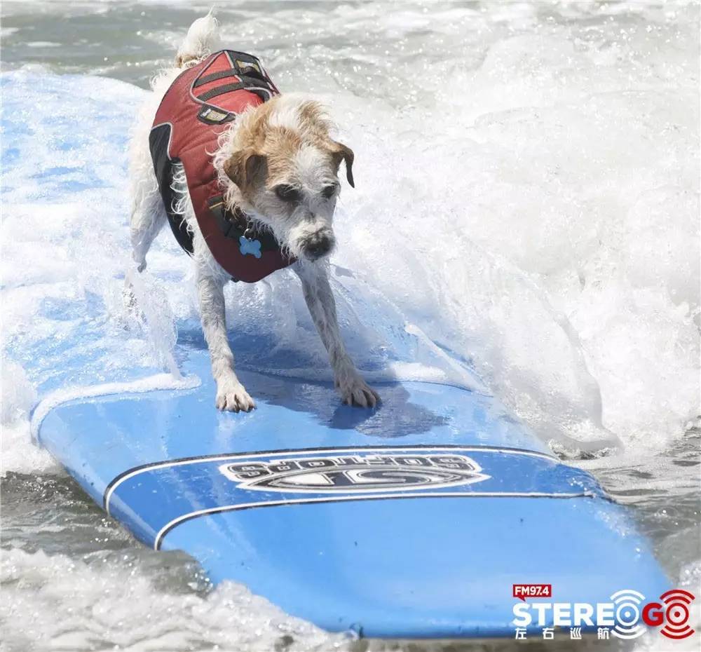 南加州周末好去处,美丽的加州圣地亚哥夜晚