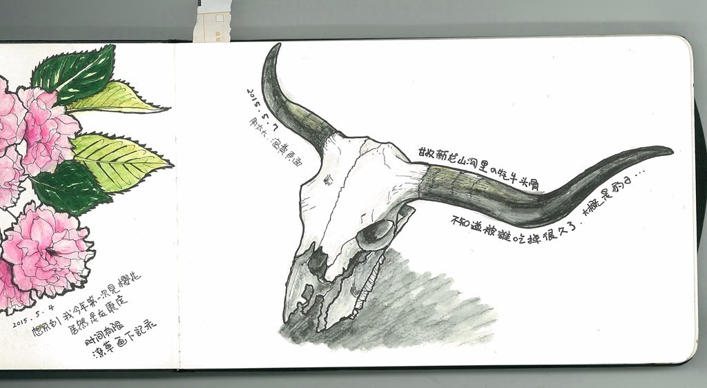 怎么加入猫盟,猫盟百科全书