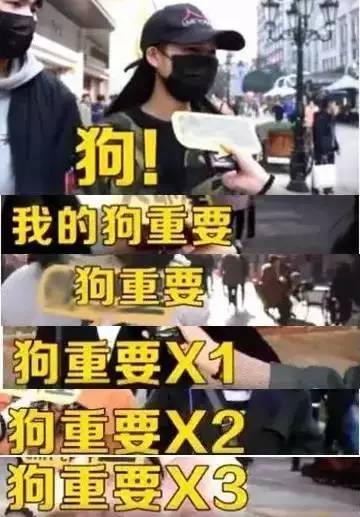 狗和男朋友之间该怎么选,狗子和男朋友选哪个