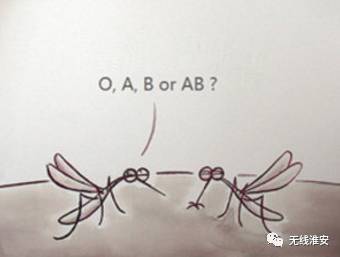 为什么是a型血但是非常招蚊子,b型血为什么特招蚊子